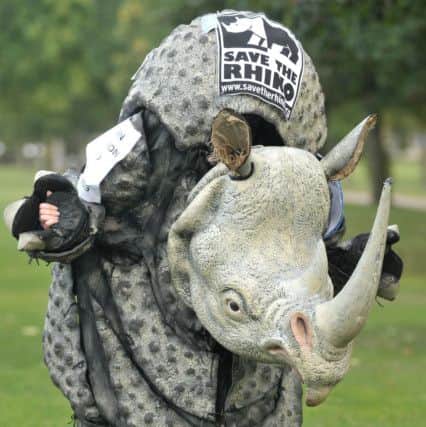 Elly McMeehan in full rhino mode