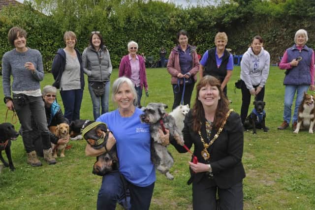 The team with Ros Freeman and Mayor of Gosport Lynn Hook Picture: Ian Hargreaves (170492-5)