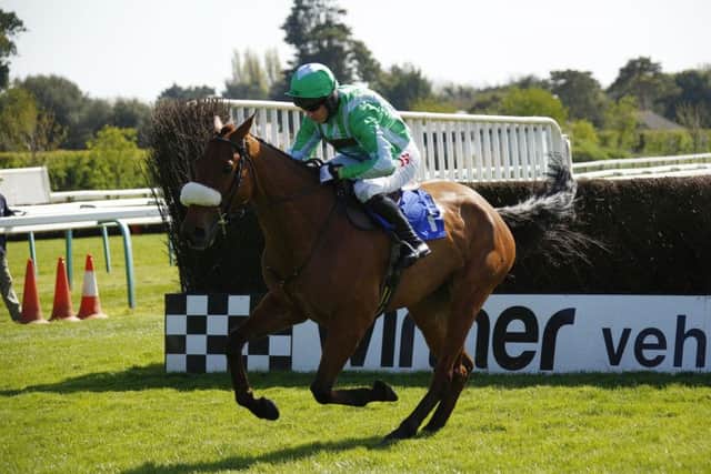 Shantou Village on the way to another Fontwell victory / Picture by Clive Bennett