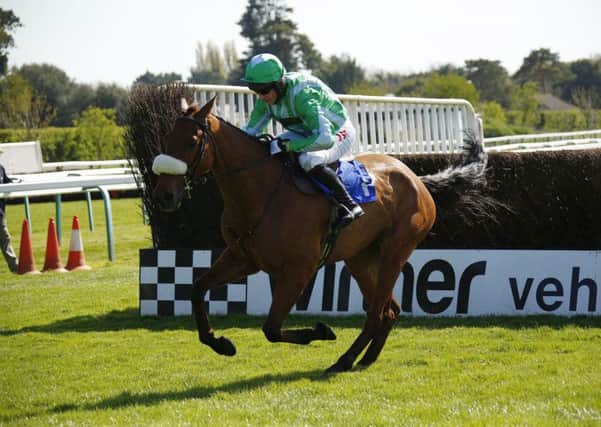 Shantou Village on the way to another Fontwell victory / Picture by Clive Bennett