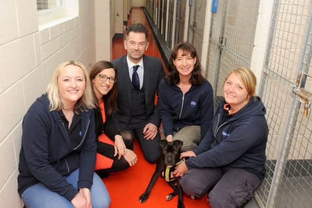 From left, Dynamite Recruitment's business and income generation manager Rachel Hall, operations director Helen Pyper and managing director Matt Fox, with animal centre manager Steph Cziczo and kennel supervisor Kayleigh Motherwell with Snowy a six-month-old Staffy cross Picture: Sarah Standing (170510-6213)