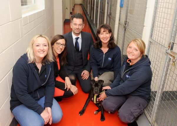 From left, Dynamite Recruitment's business and income generation manager Rachel Hall, operations director Helen Pyper and managing director Matt Fox, with animal centre manager Steph Cziczo and kennel supervisor Kayleigh Motherwell with Snowy a six-month-old Staffy cross 

Picture: Sarah Standing (170510-6213)