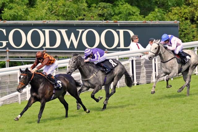 Goodwood bosses hope runners come from all corners of the globe in the future / Picture by Malcolm Wells