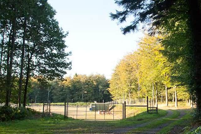 Markwells Wood