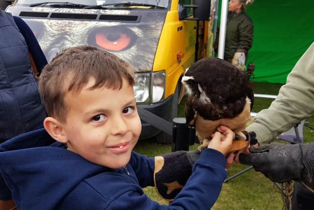 Harrison Morgan, eight, holding an owl at the Owls About Town stall at the Seaside Show