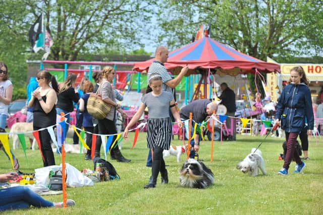 Owners and their pooches at last years KC Companion Charity Dog Show