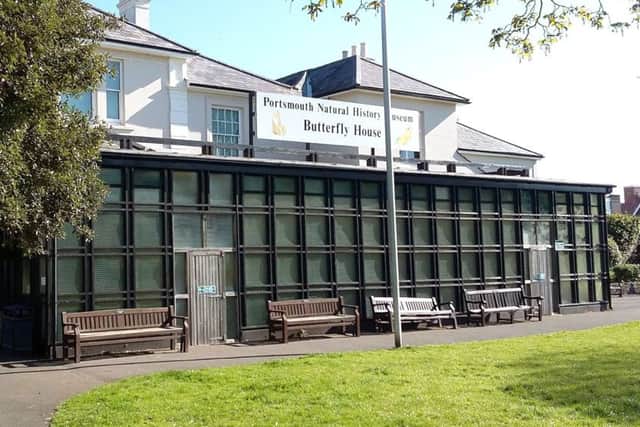 The old Butterfly House before it was knocked down in December