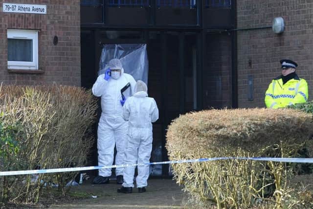 Police at Athena Avenue, Crookhorn