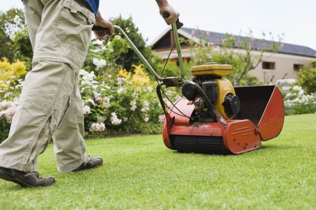 Earn your stripes and create the perfect lawn