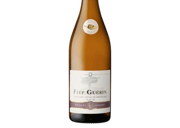 Fief GuÃ©rin Muscadet CÃ´tes de Grandlieu Sur Lie