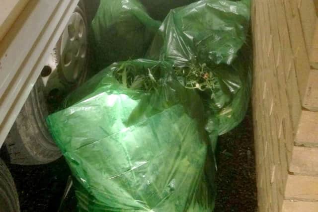 The bagged cannabis