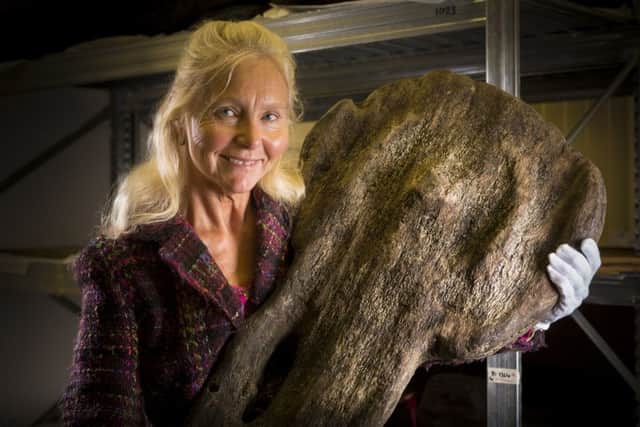 Alex Hildred, Maritime Archaeologist, pictured with the Tudor Rose emblem which was discovered on the wreck of Henry VIII's flagship, the Mary Rose. Picture: Christopher Ison