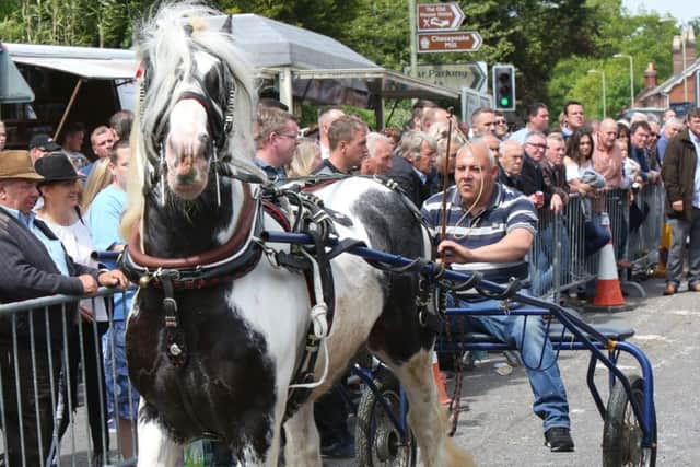 Last year's Wickham Horse Fair Picture: UKNIP