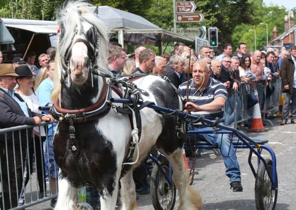 Last year's Wickham Horse Fair Picture: UKNIP