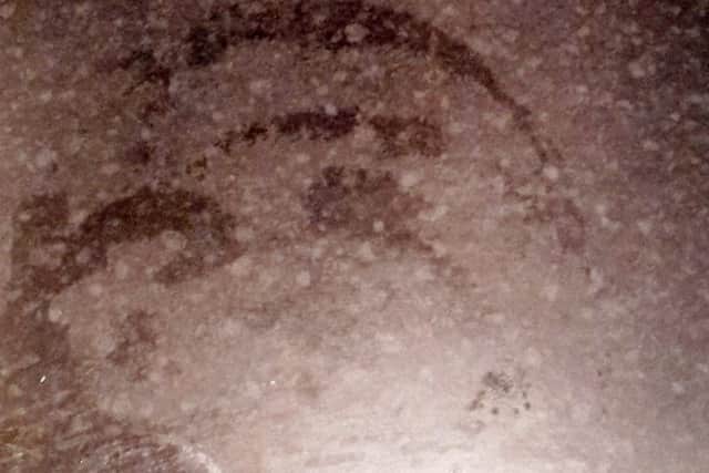 Adolf Hitler's face appeared on the worktop