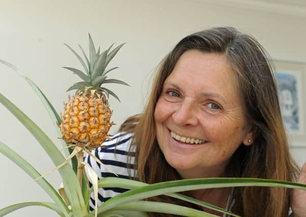 Tracey Aldridge with the pineapple she has grown in a pot at her home in Gosport 
Picture Ian Hargreaves  (170619-1)