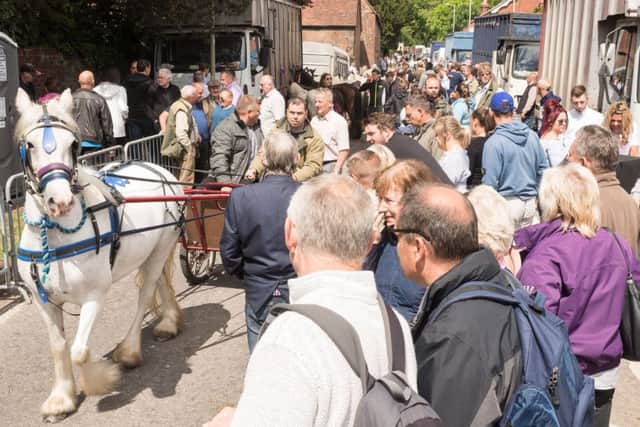 The Wickham Horse Fair.   Picture Credit: Keith Woodland 170672