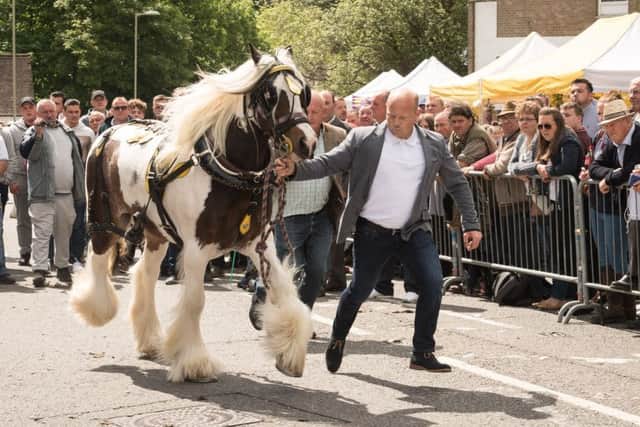 Parading horses gathered a great deal of interest  Picture Credit: Keith Woodland