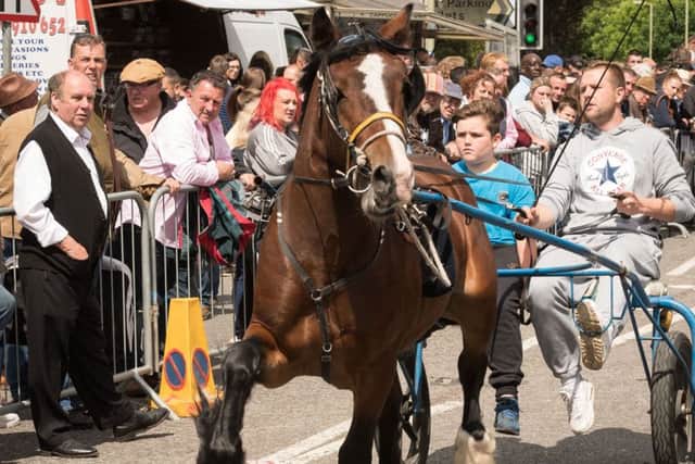 The Wickham Horse Fair.   Picture Credit: Keith Woodland 170672