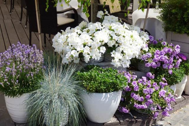 A collection of well-filled containers need not be expensive