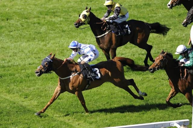 Boy in The Bar wins the Southern Cranes Handicap. Picture by:  Malcolm Wells