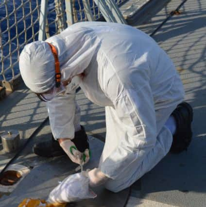 A member of the Ship's Company of HMS Monmouth destroys narcotics intercepted on a dhow transiting the Indian Ocean.