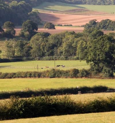 Do you know a countryside project that deserves recognition? Enter the CPRE Awards. Picture Derek Martin
