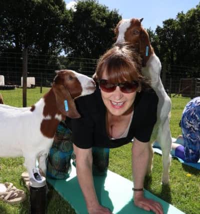 Barbara Maclean with playful kids