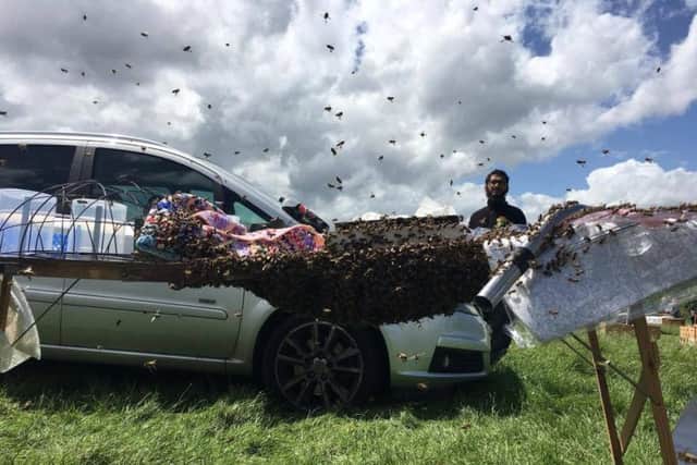 The bees swarm at the car boot sale