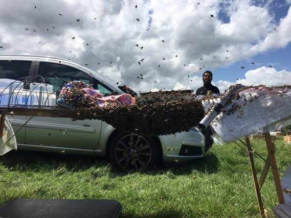 The bees swarm at the car boot sale