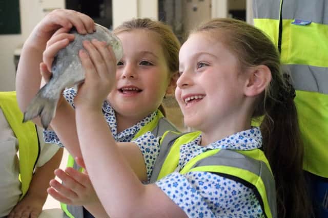 Georgia Myers and Imogen Myers, both five, taking a closer look at a fish at Waitrose, in Southsea, as part of their under the sea project this term