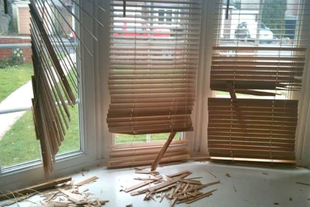 Venetian blinds that Howie previously tried to eat....