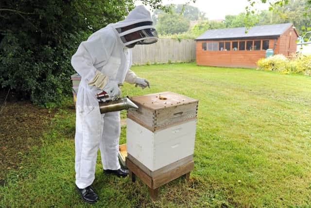 Mike Cotton at work