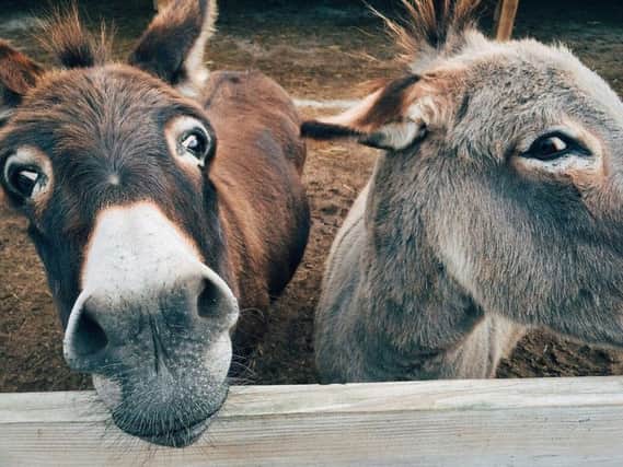 A Moroccan market seller offered Cheryls mum two donkeys in exchange for her daughter