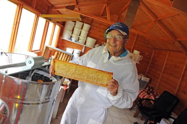 Mike Cotton, 74, the chairman of Portsmouthand District Beekeeper's Association at one of his several sets of hives with capped frames ready to extract the honey.
Pictures: Malcolm Wells (170628-1481)
