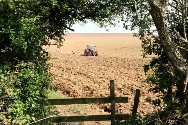 Robert Pragnell - a tractor in Ventnor, Isle of Wight