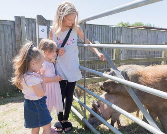 Lexi, 10, Elsie, three, and Olivia Hansen, two, with some of the Ark's residents