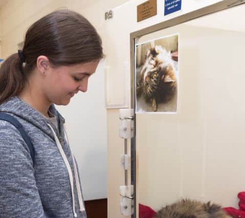 Phoebe Wort, 15, with Heidi who is waiting to be adopted