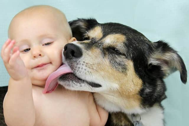 Picture: Shutterstock
