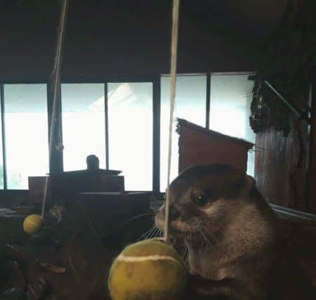 Picture: Blue Reef Aquarium