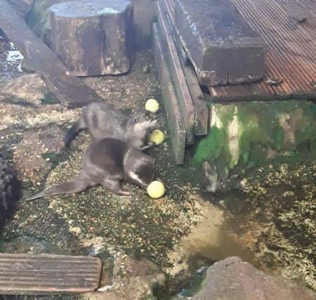 Picture: Blue Reef Aquarium
