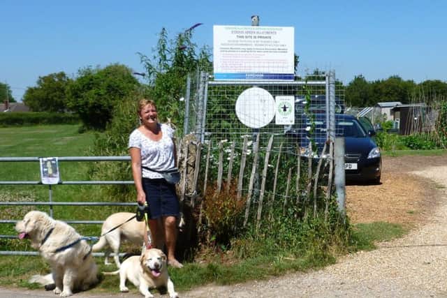 Maureen Scott at Stroud Green Allotments, right, and the field, left