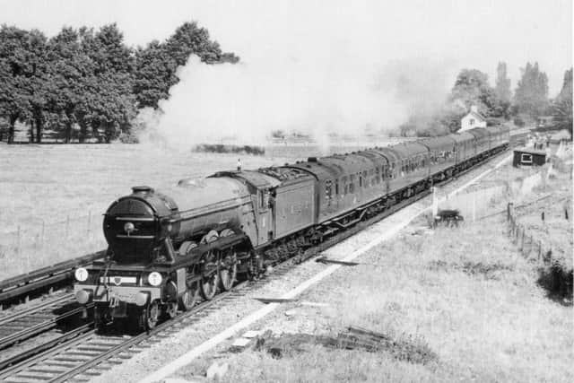 Here we see the preserved  Flying Scotsman on a tour of the  south coast in 1966. It left Victoria, ran down to Hove and turned west to run along the coast to Farlington Junction from where it went on to Fareham and Southampton. Here the  train is passing the former Waterworks Siding just west of Bedhampton Halt. The white building is the crossing keepers house at Waterworks Crossing. To the right of the train can be seen part of the former sidings now disused. On the left behind the trees is Bidbury Mead park.