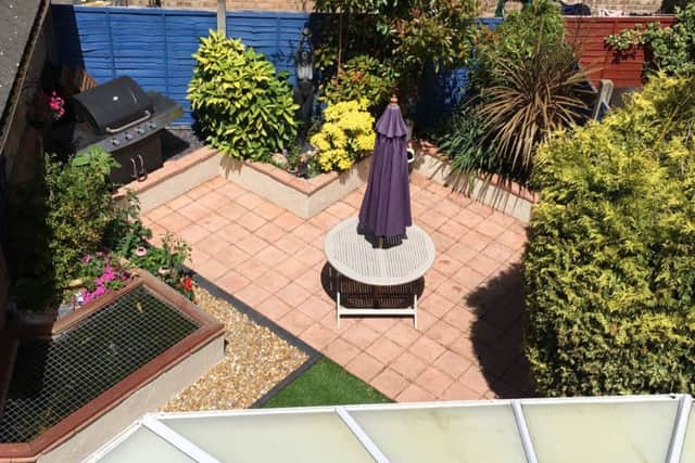 Martin Griffin's garden