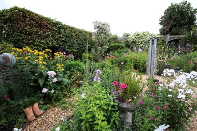 Lin Dedman's garden