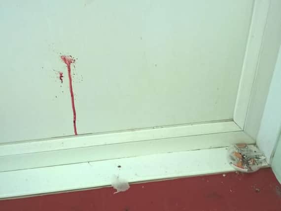 The conditions in the communal area in the flats at Niton Close, Gosport. Picture: Hampshire police