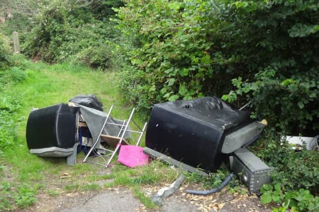 The furniture dumped in Frater Lane. Picture: Gosport Borough Council