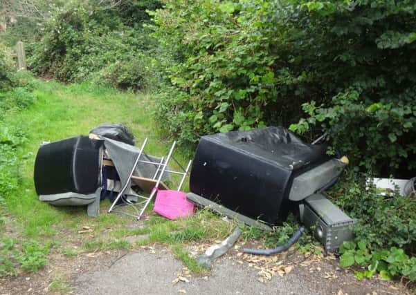The furniture dumped in Frater Lane. Picture: Gosport Borough Council