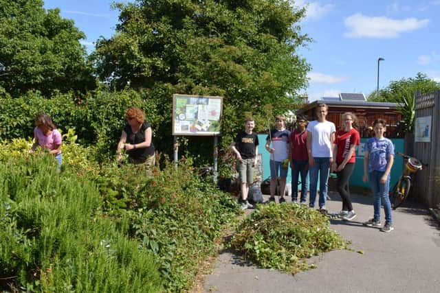 Mayville pupils helping out at Southsea Greenhouse