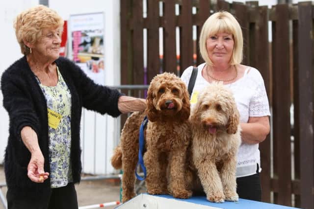 Gillian Wren, left, and Joan Johnson, right, with Charlie and Fudge who won best look-a-like